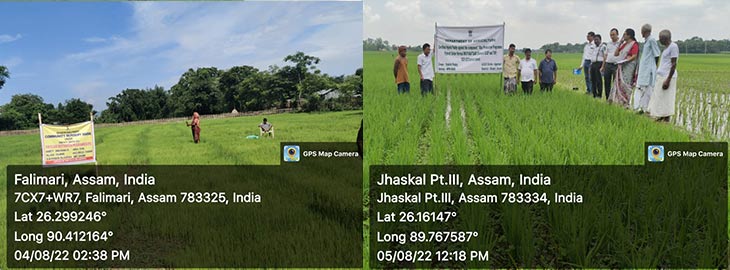 rkvy assam